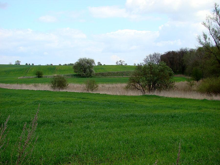 Widoki na pola
