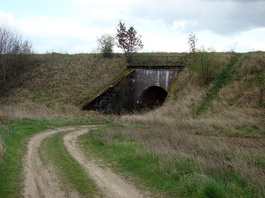 Dalej polami