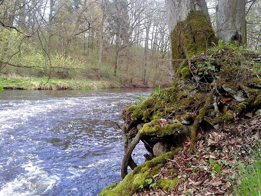 Krąpiel między Sułkowem a Ulikowo Kolonia