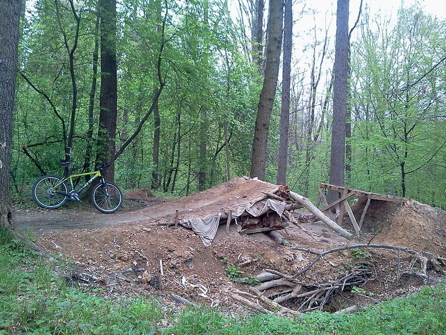 Las Parchowiec