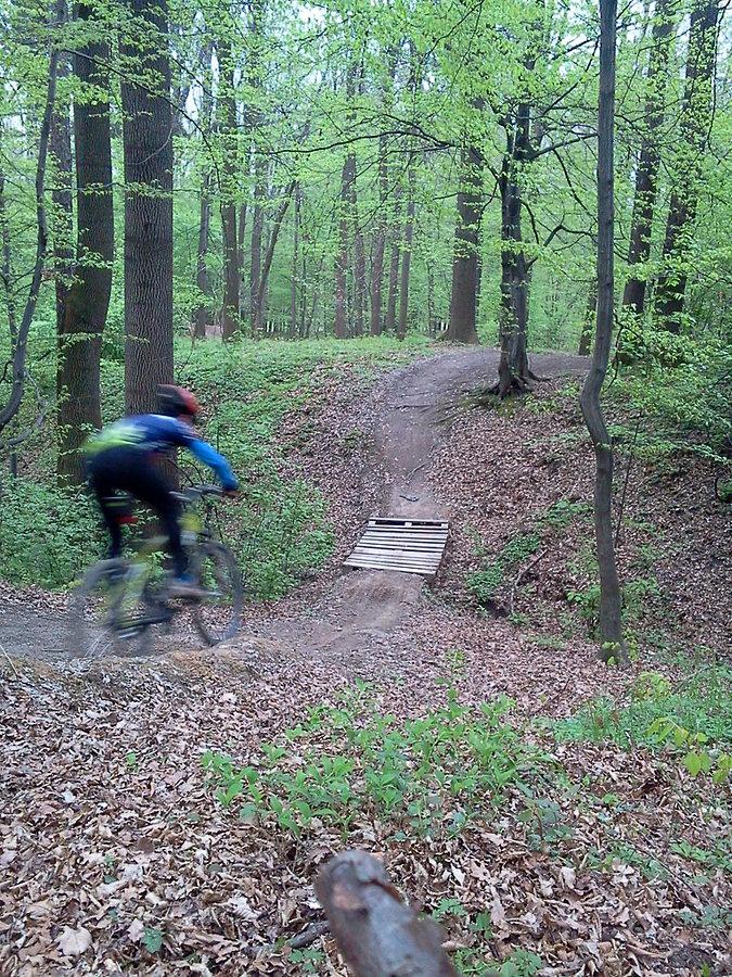 Las Parchowiec