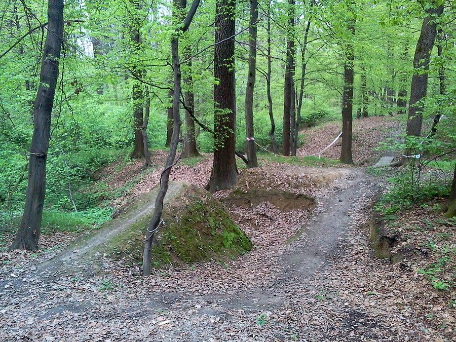 Las Parchowiec