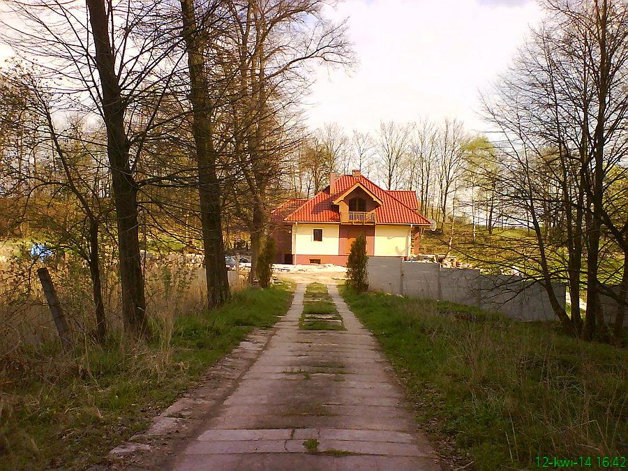 Głęboko skryty w lesie domek