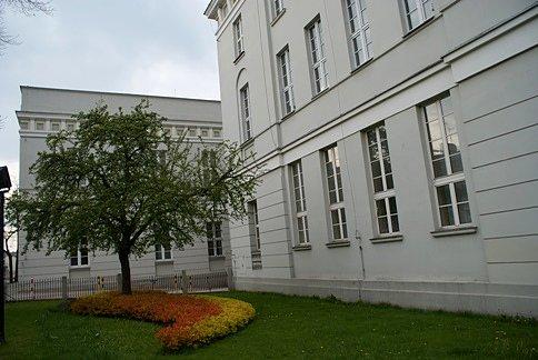Wiosennie przed Urzędem Miasta