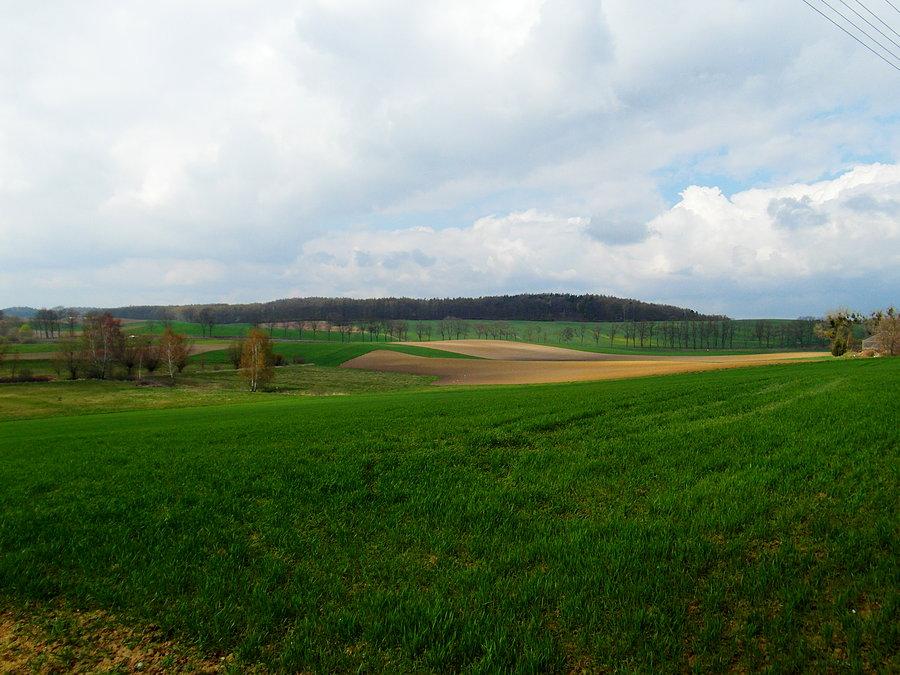 Wiosenny widoczek