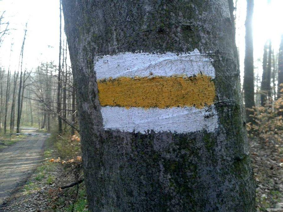 Musimy trzymać się żółtego szlaku