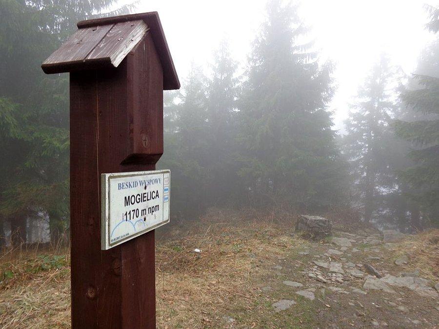 Mogielica - najwyższy szczyt Beskidu W