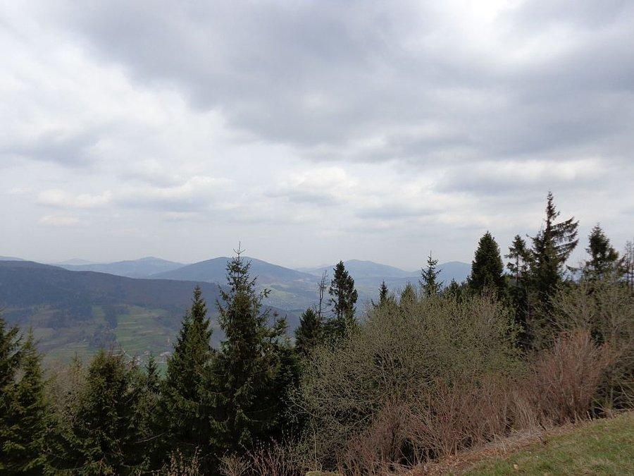 Widok z Lubonia
