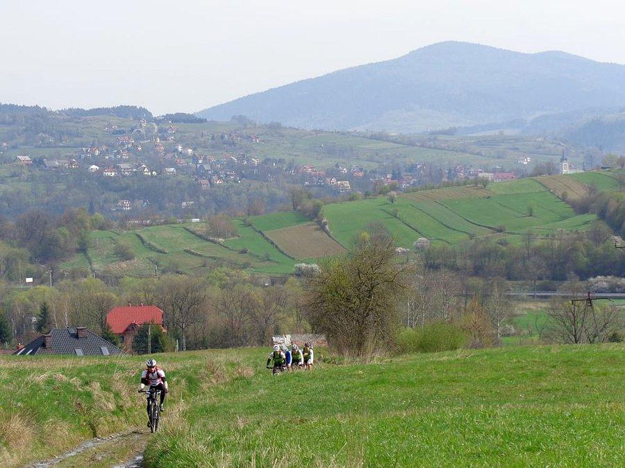 Pecinaki na czerwonym szlaku