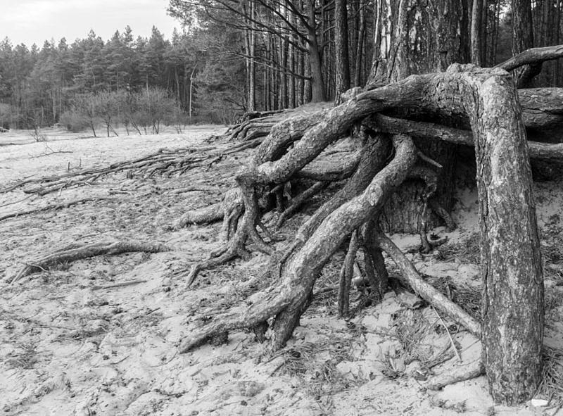 Prawie jak nad Bałtykiem