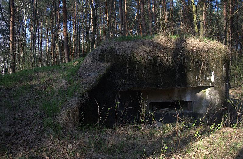 Jeden w bunkrów w lasach panewnickich