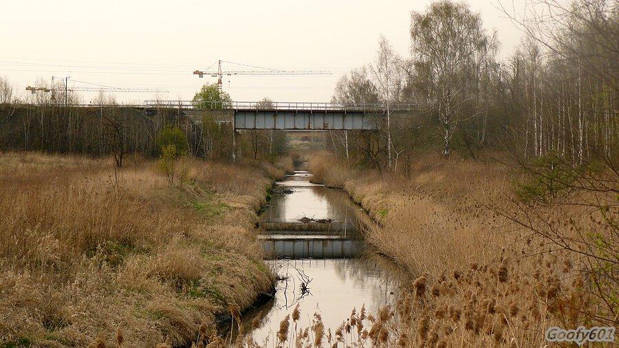 Kłodnica
