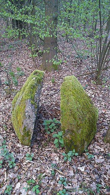 Kręgi