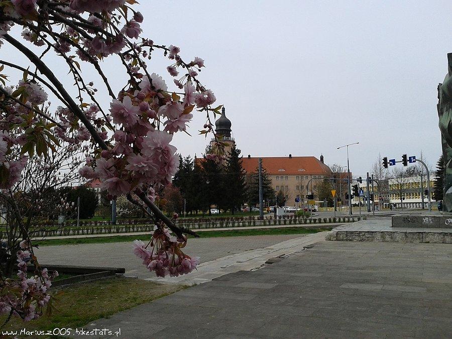 Elbląg wiosennie