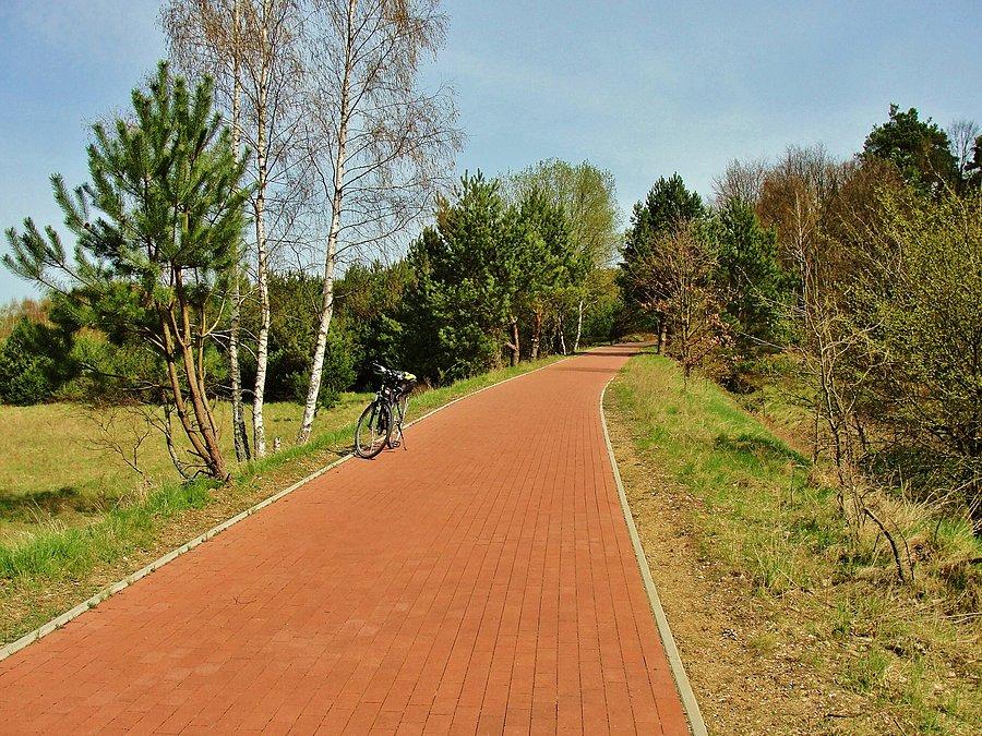 Ścieżka rowerowa prowadząca do ośrodka wypoczynkowego w Borównie