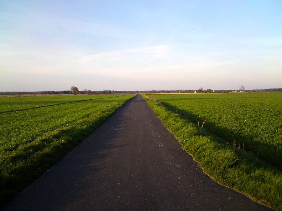 Zielono tutej