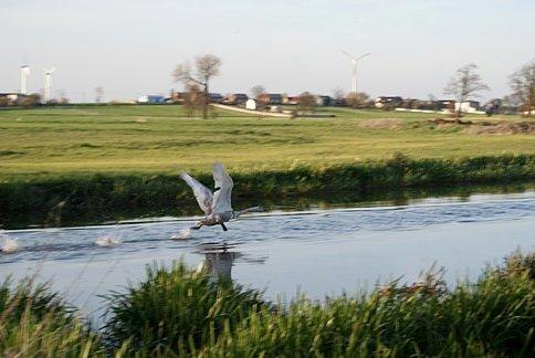 Wystraszył się focącej Posterunkowej ;)