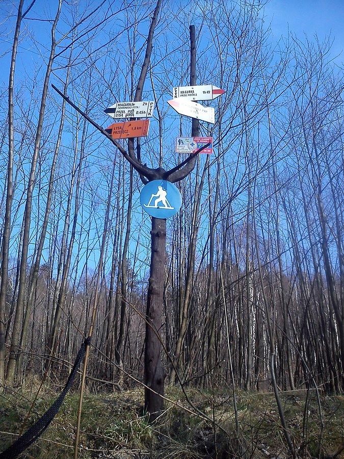 Mikuszowice stalownik trasa górska na magórkę