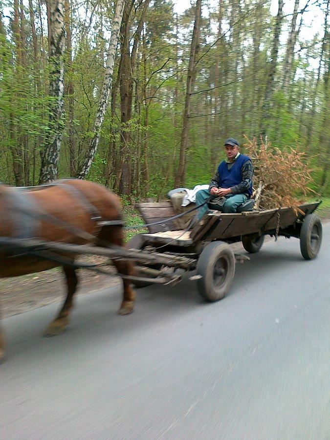 Za szybko jechał, więc ucięłam mu łeb..")