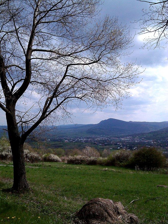 W drodze na Wzgórze- z widokiem na Cergową