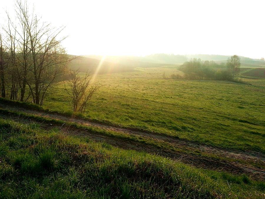 Łąka w okolicach Kijewa