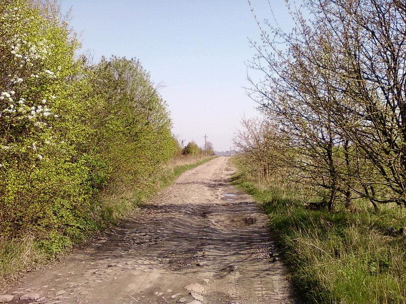 Ul. Okólna