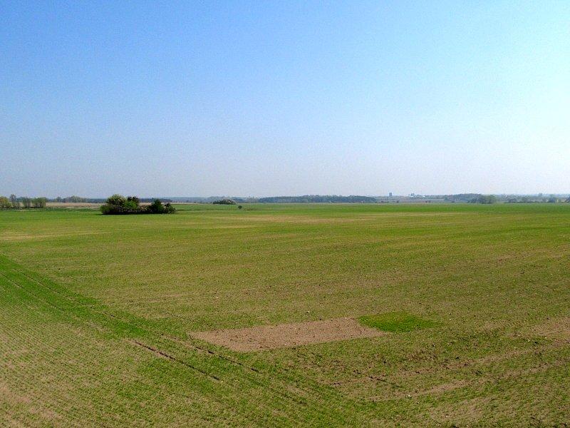 Widok na pola w gminie Kiszkowo