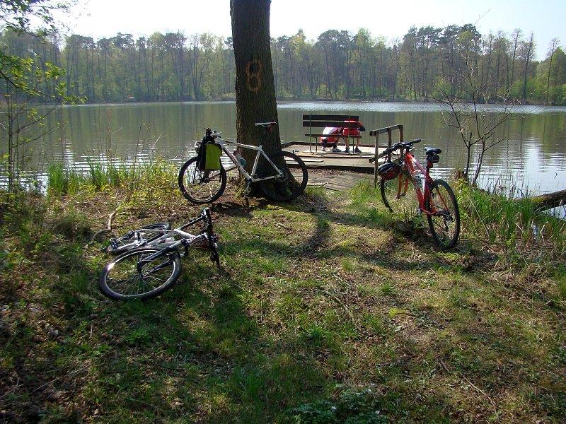 Przerwa na promienie Słońca nad jeziorkiem w Antoniewie
