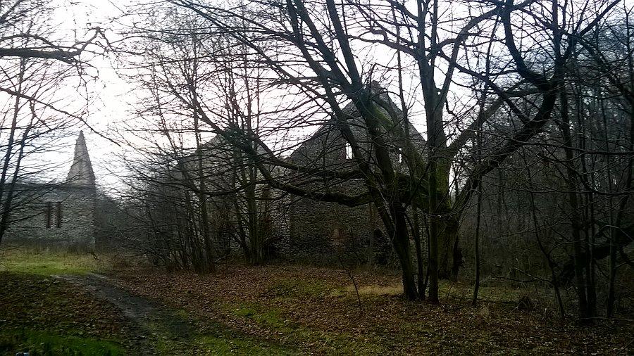 Waldhof ruiny