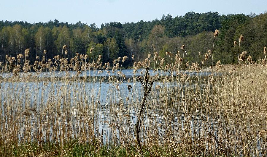 Zatoka Kormoranów