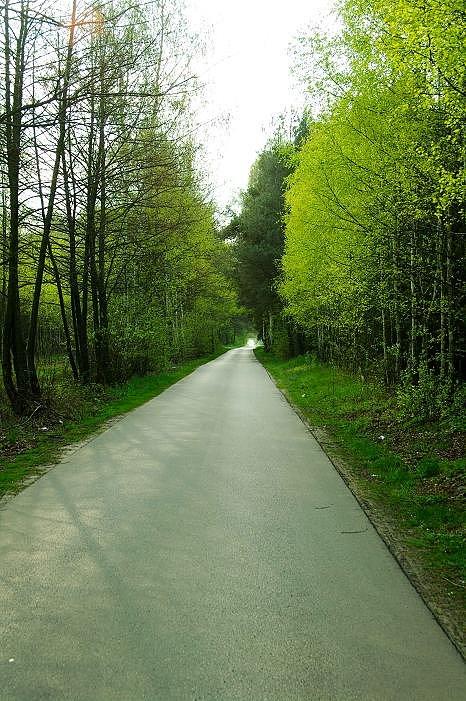 Gdzieś na drodze