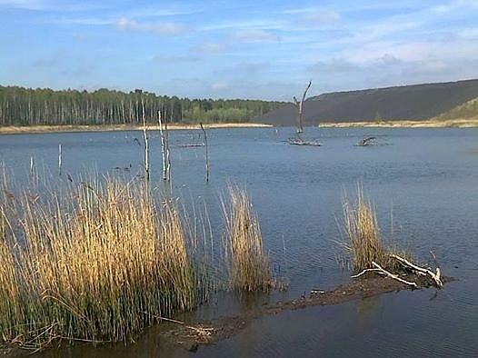 Śląska natura