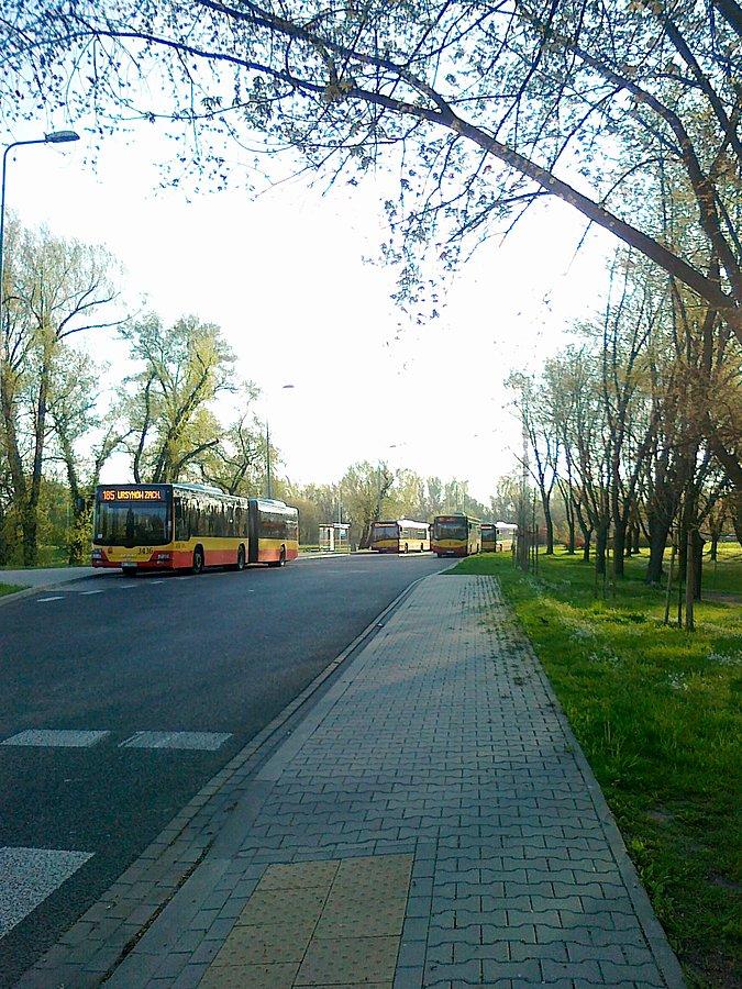 Pętla Gwiaździsta