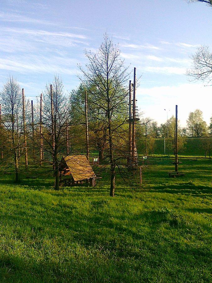 Park linowy w Lasku Bielańskim