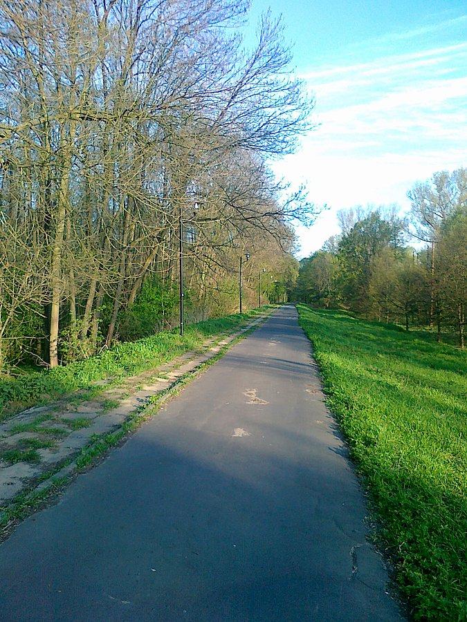 I fajna droga dla rowerów