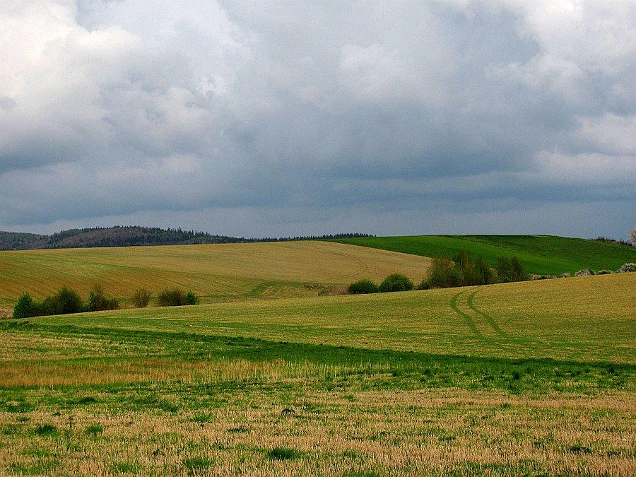 Granice Gorlic