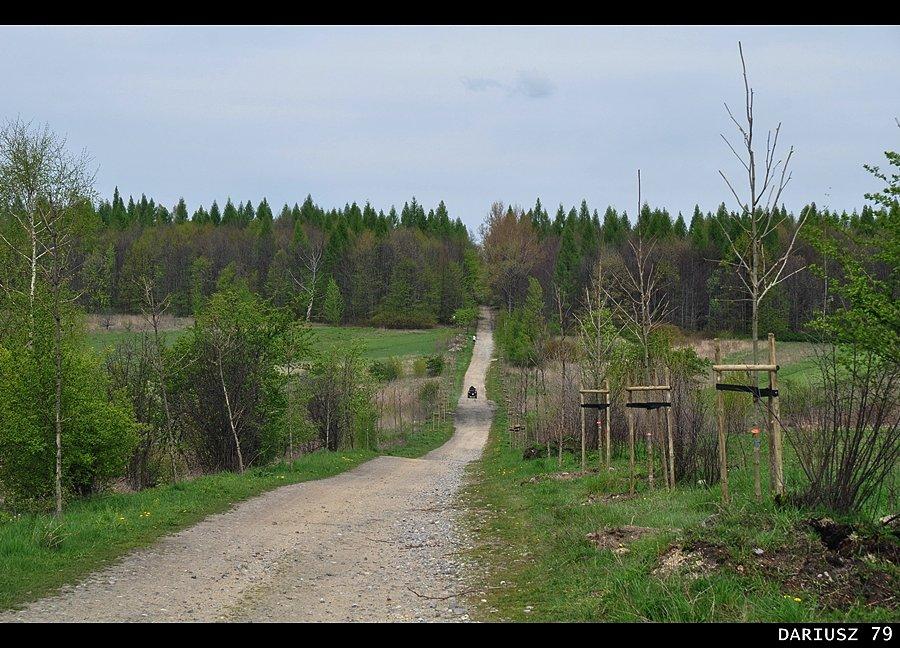 Łosień - Kierunek Tucznawa