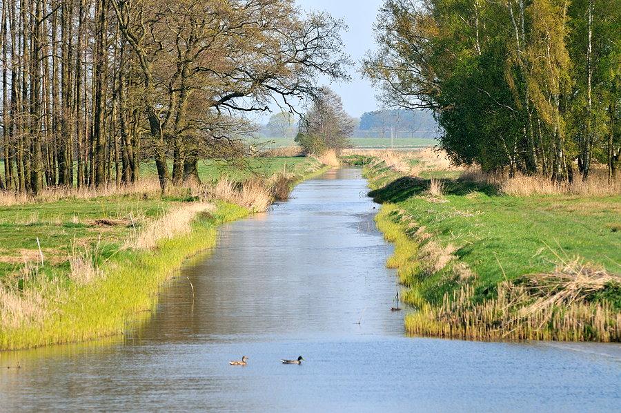 Krajobraz Lieper Winkel - przed Warthe