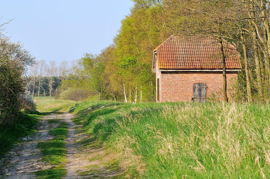 Droga wzdłuż brzegu