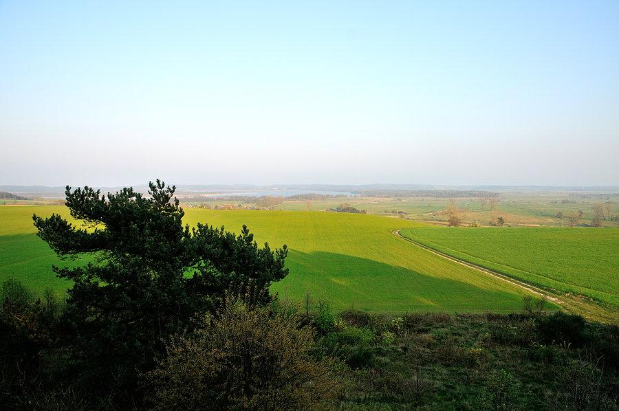 Widok z wieży widokowej Kückelsberg koło Reetzow