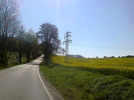 Podjazd na fiołkowy hill