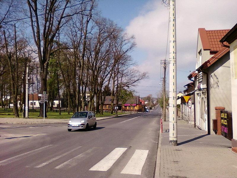 Skwet w Tuszynie
