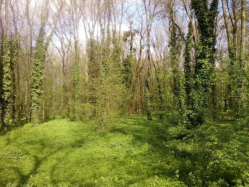 Park im. Rejtana