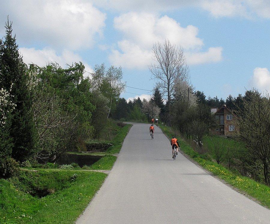 Walka pod Tanią Górę