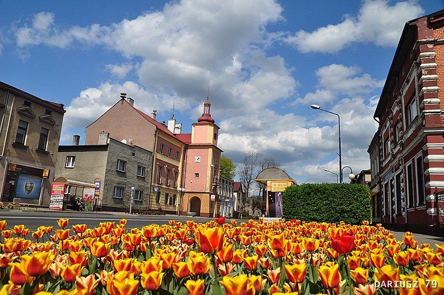 Miasteczko Ślaskie - Centrum