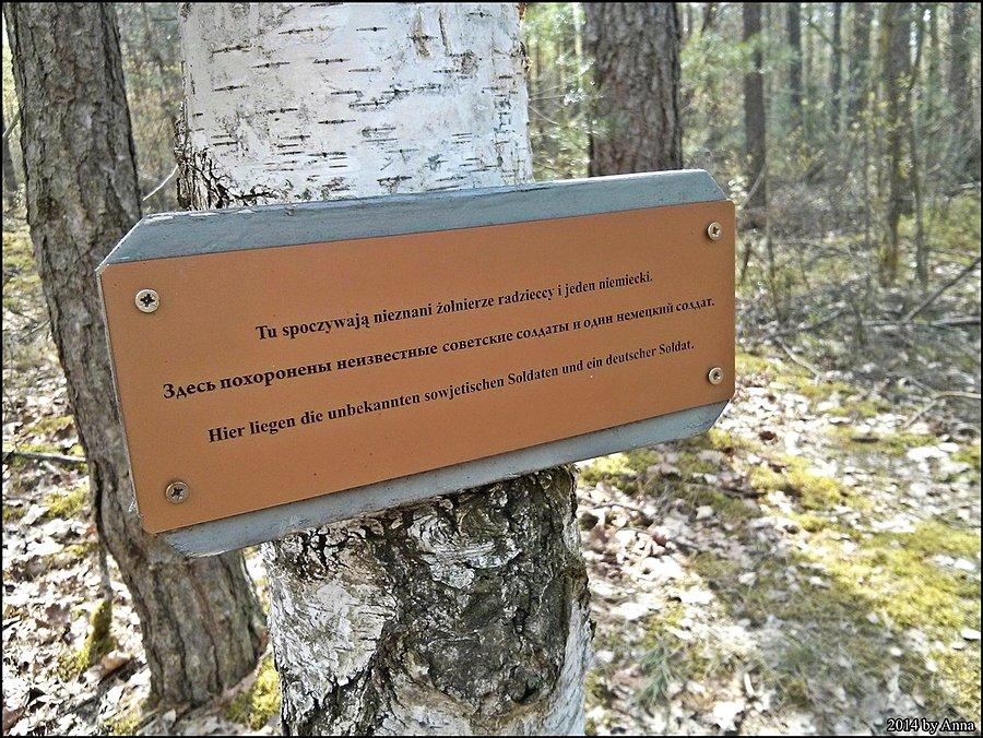 Tu spoczywają nieznani żołnierze radzieccy i jeden niemiecki