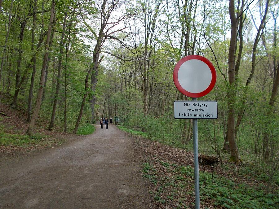 Bażantarnia - rowerem już legalnie