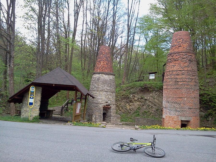 Wapieniki w Wędryni