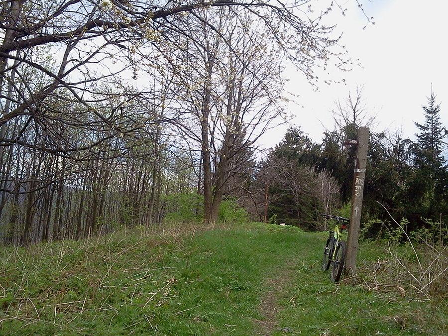 Szczyt Ostrego 709 m