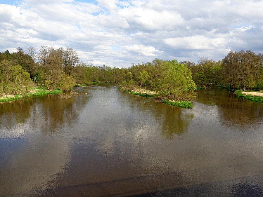 Warta w Lisowicach